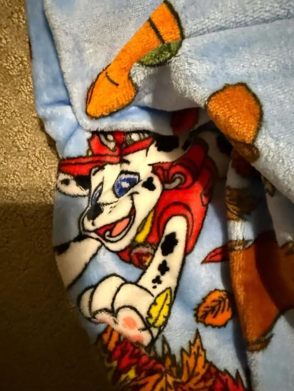 Paw Patrol Fall Frenzy Silk Touch Throw Blanket 40in x 50in